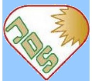 jds logo 1