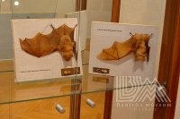 Dve výstavy Natura excelenta a Špirhač, gacek, trúlelek otvorili v Baníckom múzeu v Rožňave
