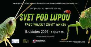 Svet pod lupou: Rimavská Sobota ukáže fascinujúci život 40-tisíc druhov hmyzu