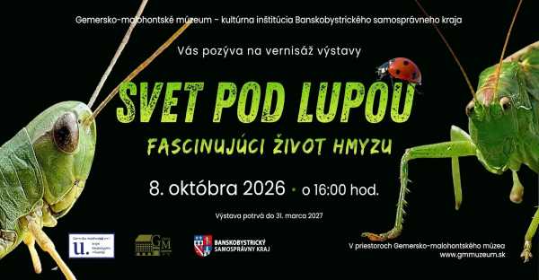 Svet pod lupou: Rimavská Sobota ukáže fascinujúci život 40-tisíc druhov hmyzu
