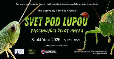 Svet pod lupou: Rimavská Sobota ukáže fascinujúci život 40-tisíc druhov hmyzu