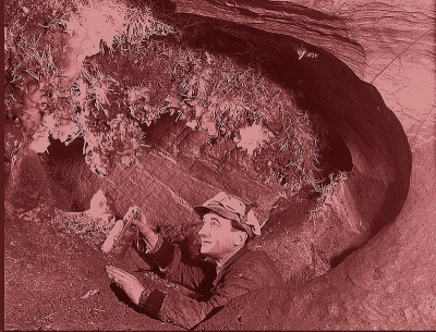 Aragonitový kvet na mramorových stenách a stropoch je najkrajšou ozdobou jaskyne. Jaskyniar František Pleva dlho obdivoval aragonitovú výzdobu fantastických tvarov. 