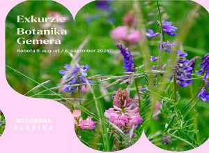 Botanika Gemera: Letné exkurzie do sveta rastlín vás zavedú do prírody Muránskej planiny