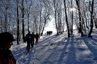 Turistov pekným zimným prostredím trasa zaviedla z Ardova k "Zlatej bani" a späť