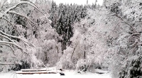Obrázky z februárovej zimy na Gemeri po jej najnovšej nádielke