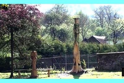 Suchý strom v Rochovciach poslúžil na umelecké dielo pri Dome smútku