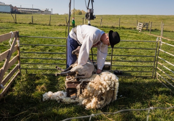 Starý pastiersky zvyk mitrovanie si pripomenuli vo Veľkých Teriakovciach už po ôsmykrát